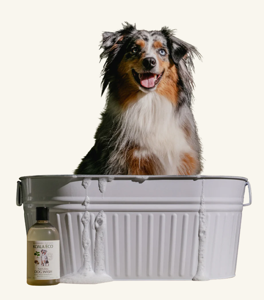 Koala Eco Dog Wash Marjoram & Rosalina 500Ml