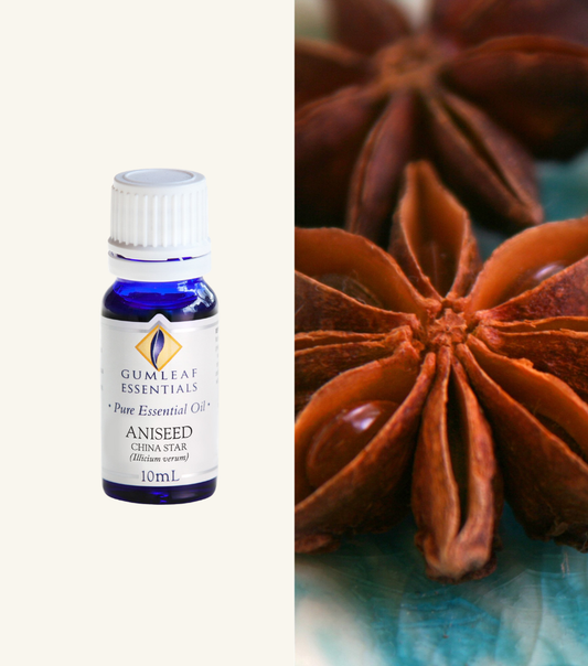 Aniseed Gumleaf Essential Essential Oil 10Ml