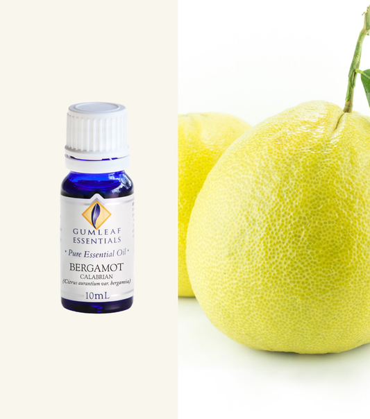 Bergamot (Calabrian) Gumleaf Essentials Essential Oil