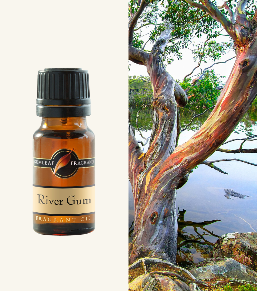 River Gum Gumleaf Fragrance Fragrant Oil