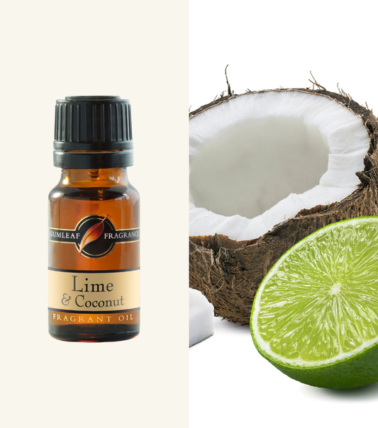 Lime & Coconut Gumleaf Fragrance Fragrant Oil