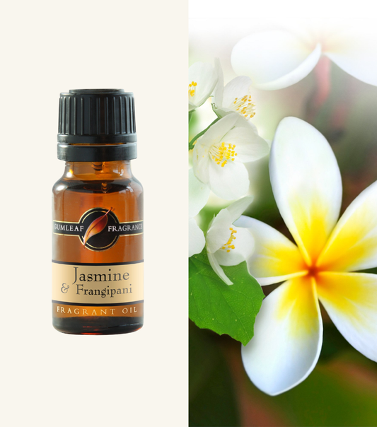 Jasmine & Frangipani Gumleaf Fragrance Fragrent Oil