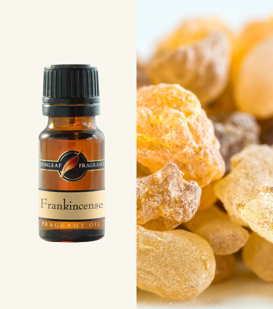 Frankincense Gumleaf Fragrance Fragrant Oil