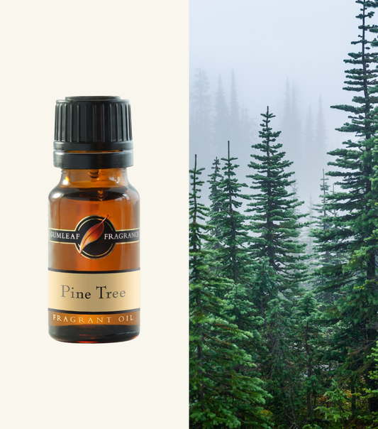 Pine Tree Gumleaf Fragrance Fragrant Oil
