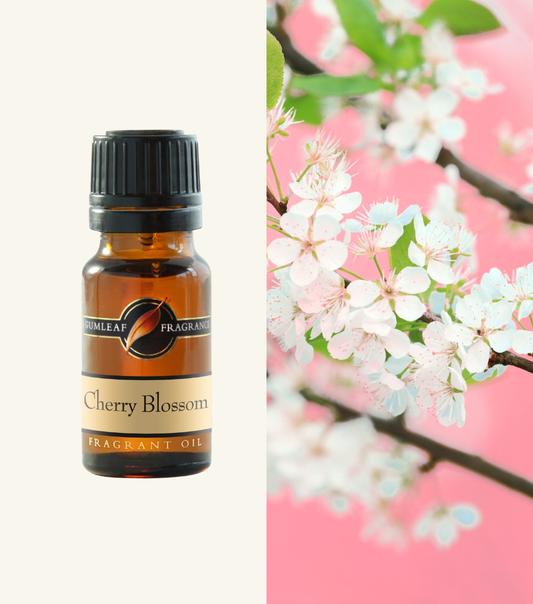 Cherry Blossom Gumleaf Fragrance Fragrent Oil