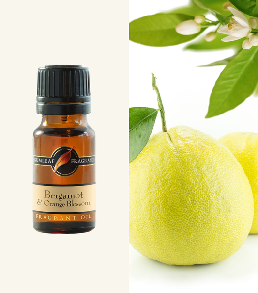 Fragrent Oil Bergamot & Orange Blossom