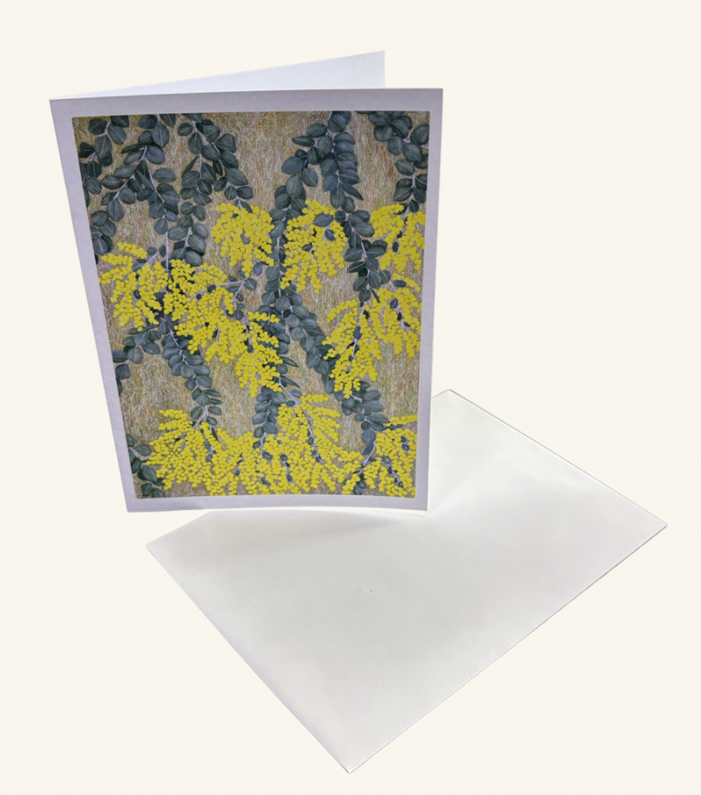Silver Wattle Greeting Card