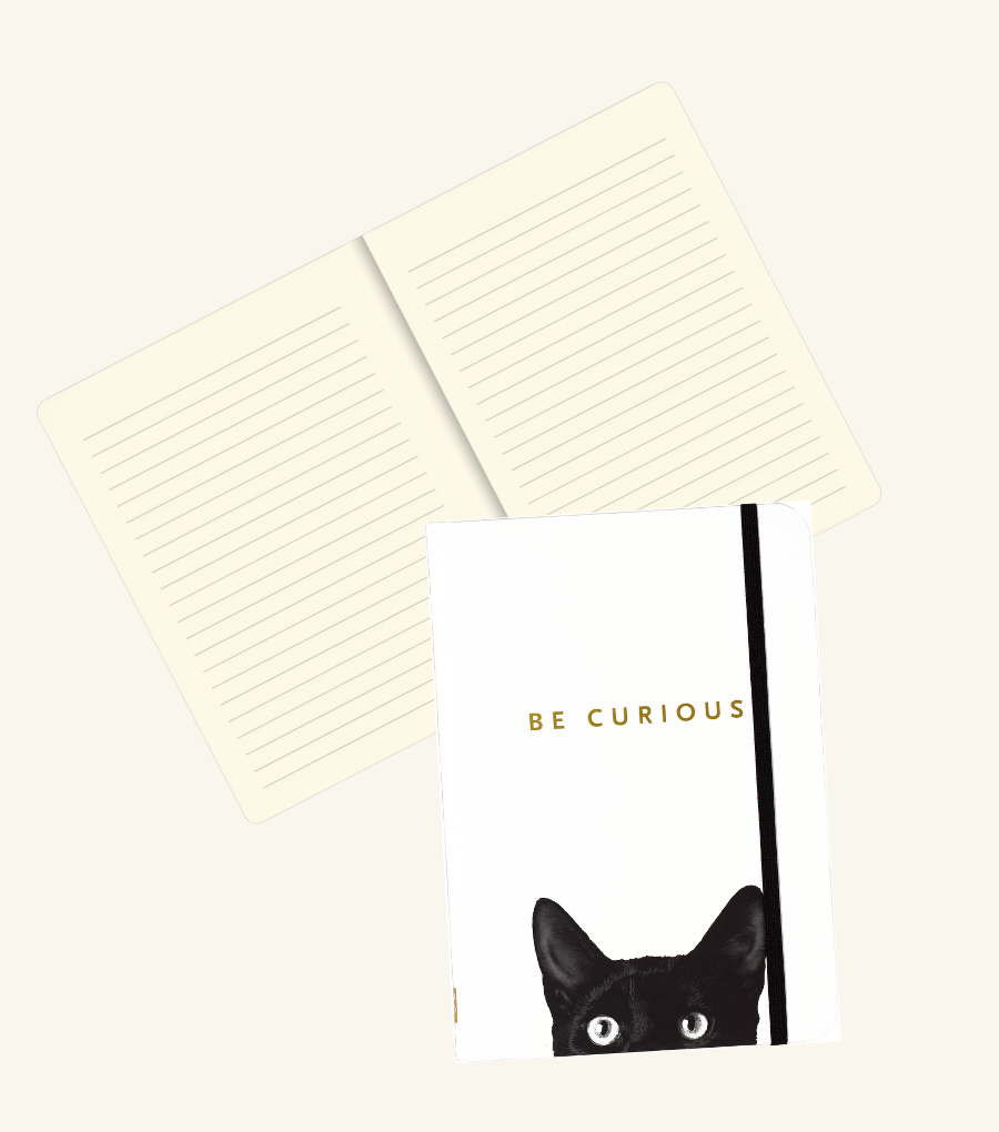 Curious Cat Journal