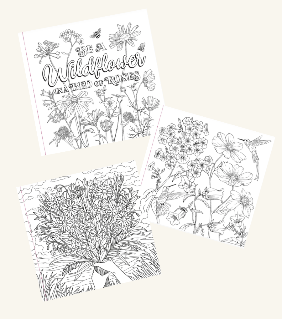 Adult Colour Book - Field Of Wildflowers